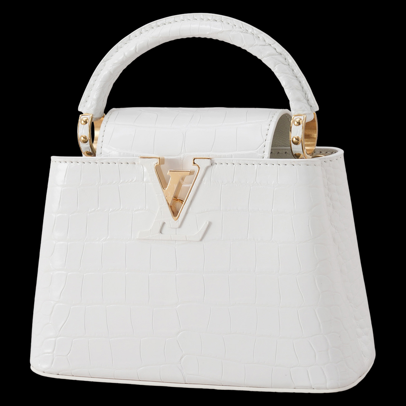 LOUIS VUITTON(USED)루이비통 이그조틱 와니 카퓌신 미니